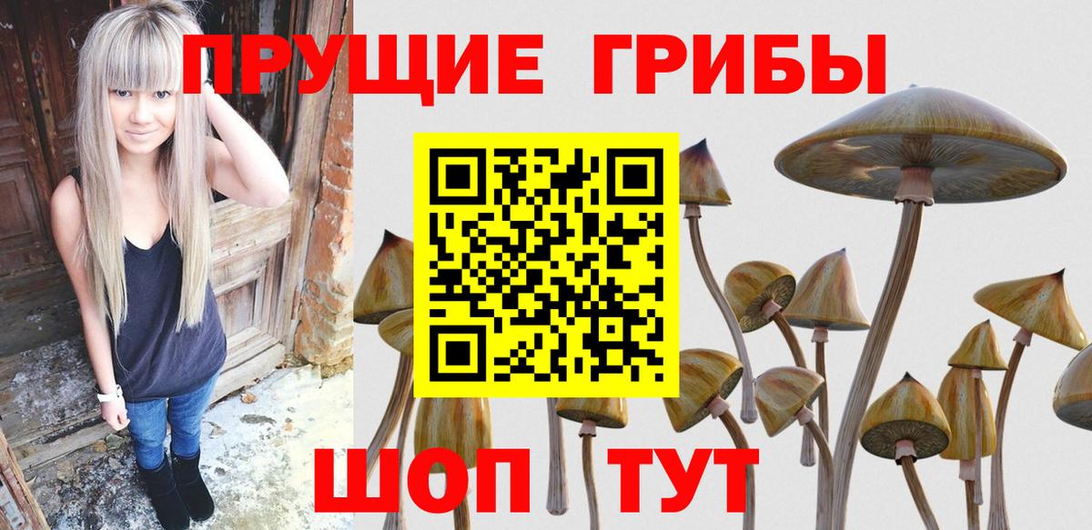 Псилоцибиновые грибы мицелий Россошь