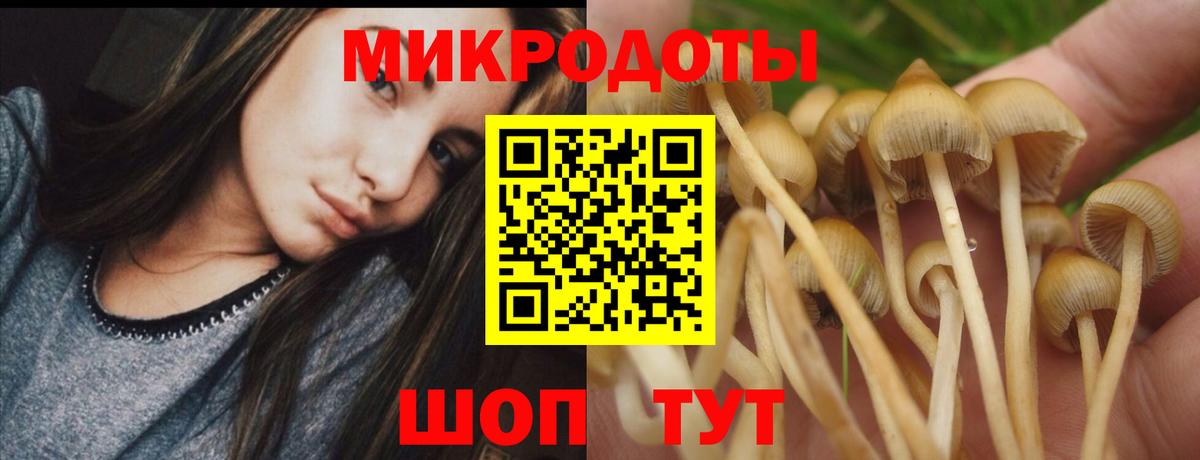 Россошь  где продают наркотики  Вход с VPN  Галлюциногенные грибы Magic Shrooms 