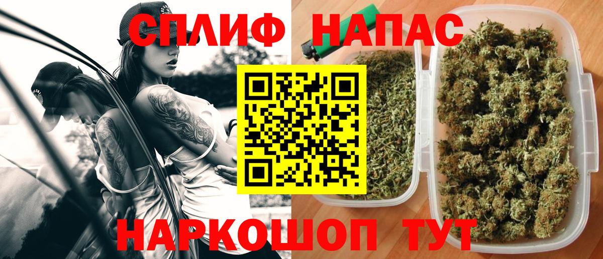 Каннабис ГИДРОПОН  Бошки марихуана гибрид  Шишки марихуана MAZAR  Вход с VPN  Россошь 